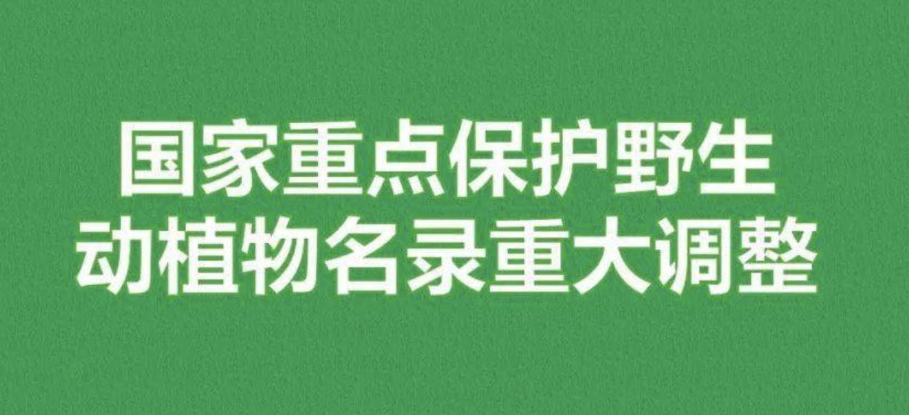 重磅！新版國(guó)家重點(diǎn)保護(hù)野生植物名錄公布，58種/屬列入一級(jí)保護(hù)，值得收藏