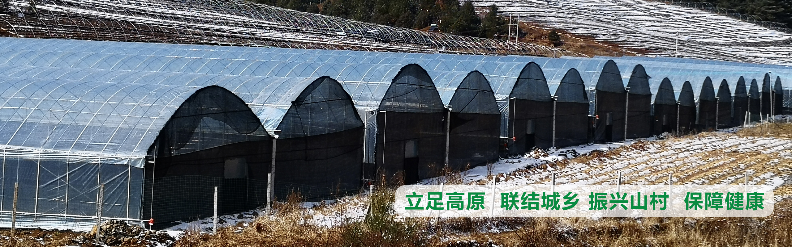 立足高原、聯(lián)結(jié)城鄉(xiāng)、振興山村、保障健康